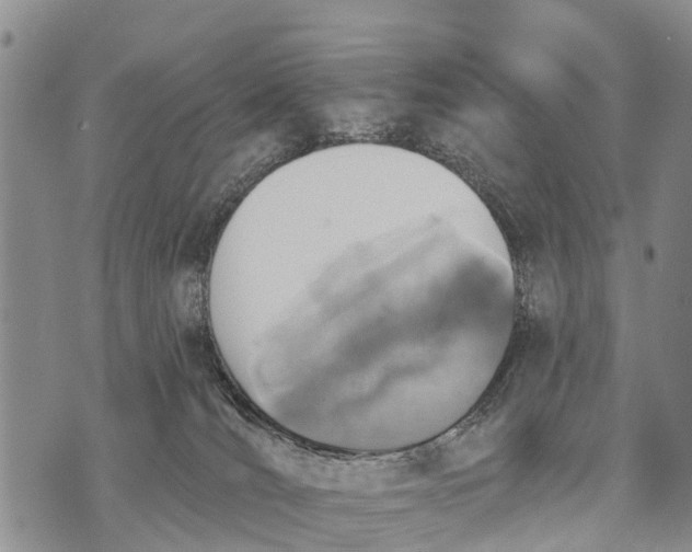 X0000073890036200609011704