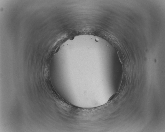 X0000073890037200609011704