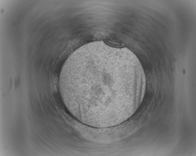 X0000073890038200609011704