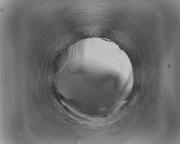 X0000073890039200609011704