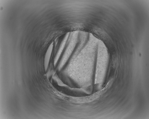 X0000073890041200609011704