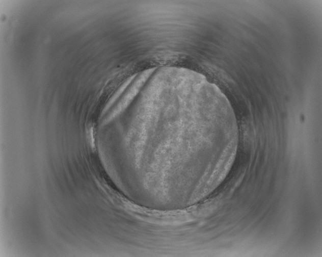 X0000073890042200609011704