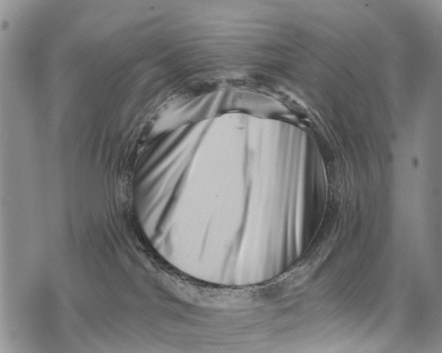 X0000073890044200609011704