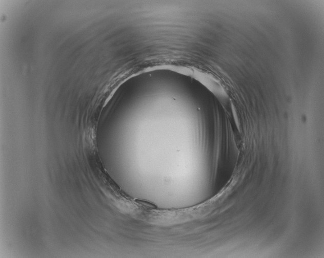 X0000073890045200609011704