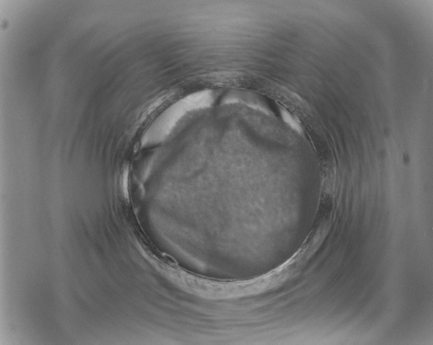 X0000073890047200609011704