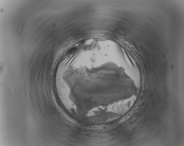 X0000073890049200609011703