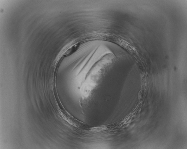 X0000073890051200609011703