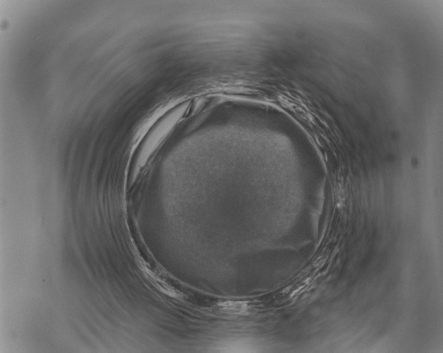 X0000073890052200609011703