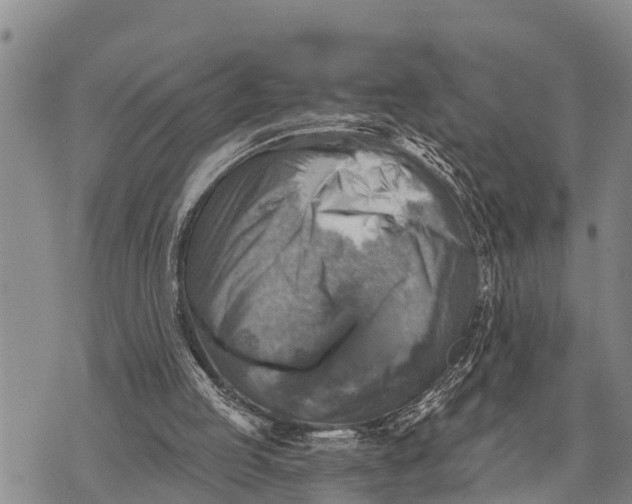 X0000073890053200609011703