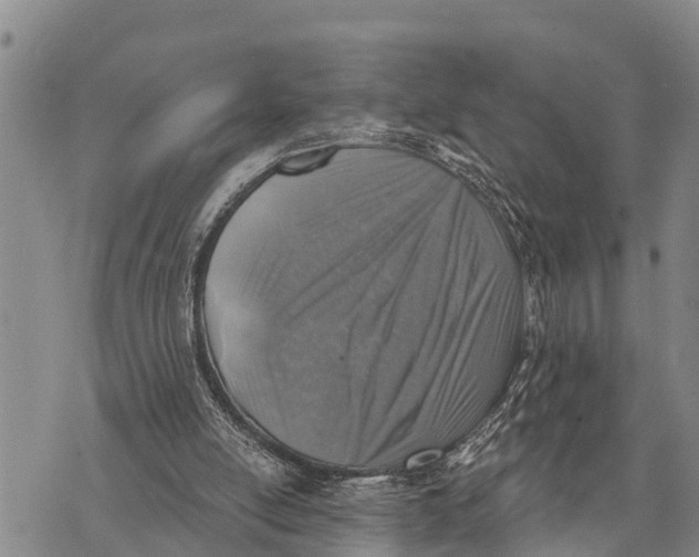 X0000073890054200609011703