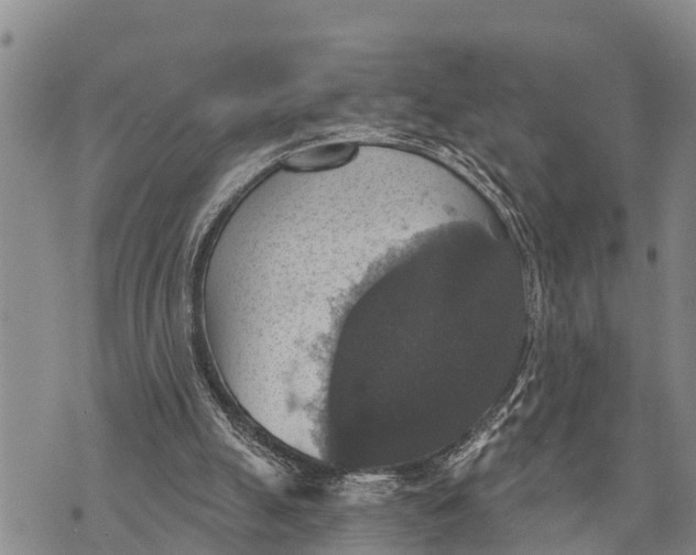 X0000073890055200609011703