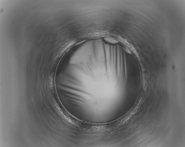 X0000073890057200609011703