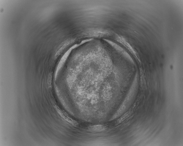 X0000073890058200609011703