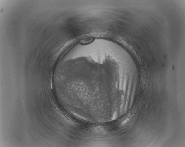 X0000073890062200609011703