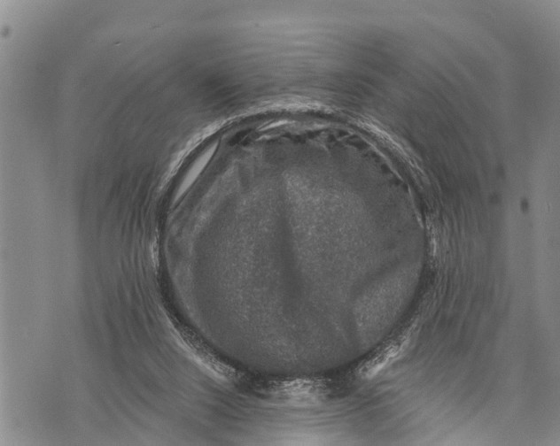 X0000073890064200609011703