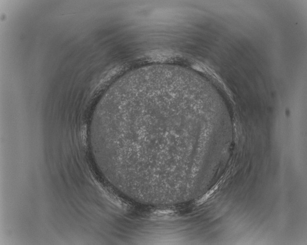 X0000073890066200609011703