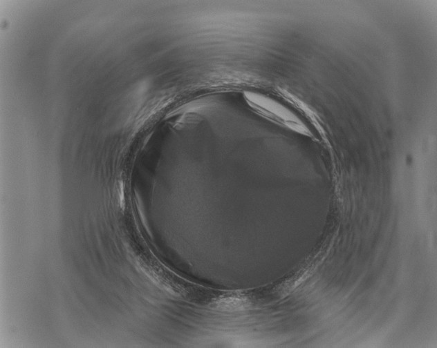 X0000073890067200609011704