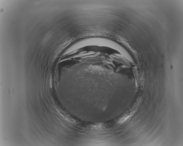 X0000073890068200609011704