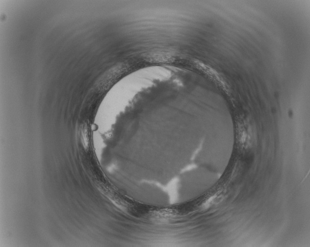 X0000073890069200609011704