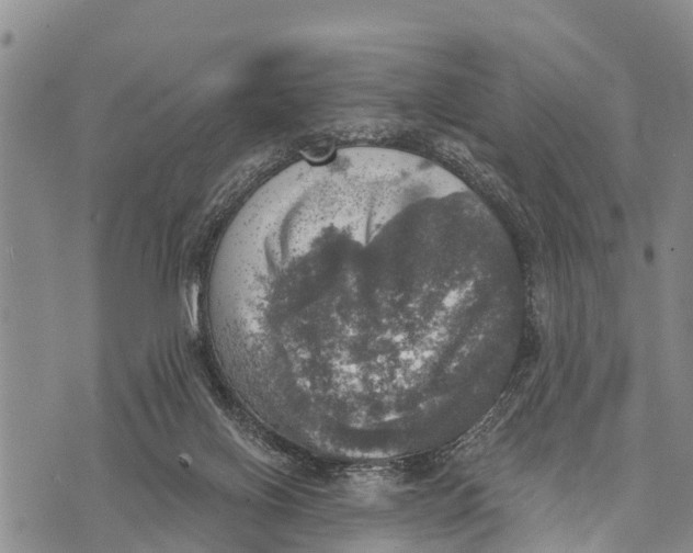 X0000073890070200609011704