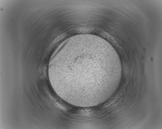 X0000073890071200609011704