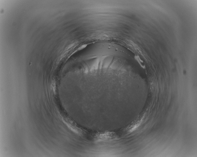 X0000073890072200609011704