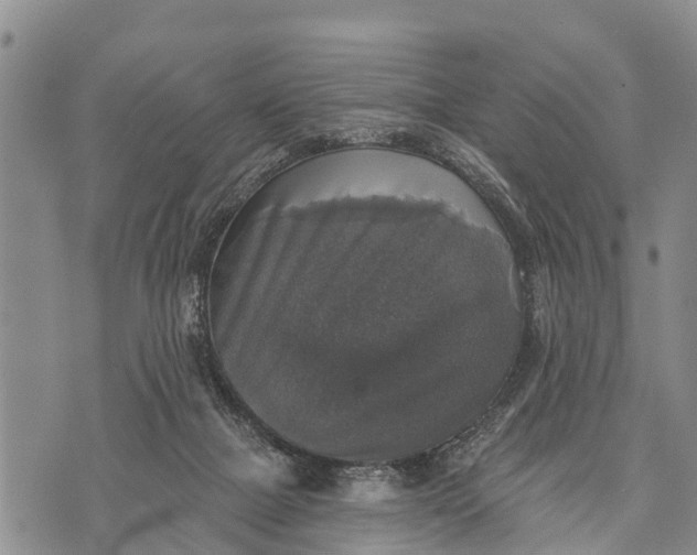 X0000073890073200609011704