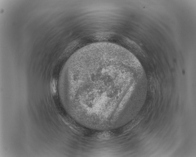 X0000073890075200609011704