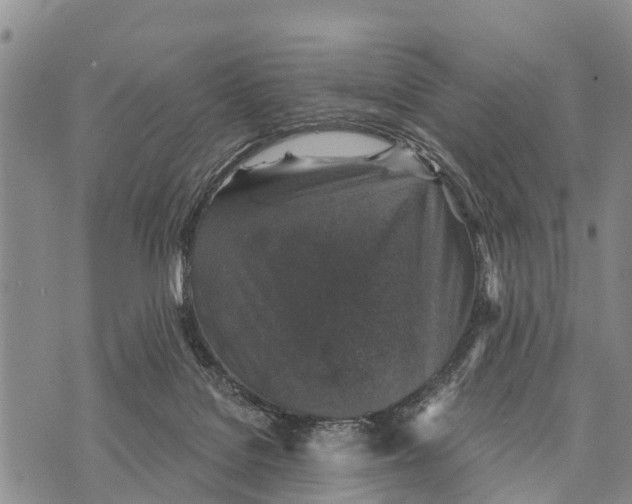 X0000073890076200609011704