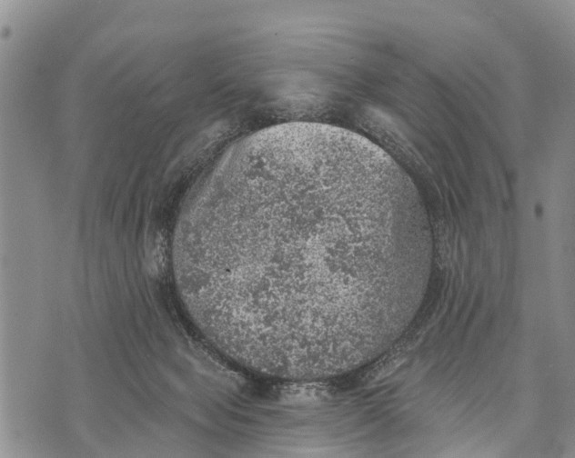 X0000073890077200609011704