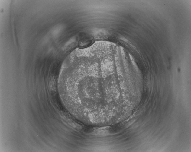 X0000073890078200609011704