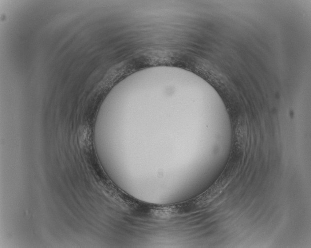 X0000073890079200609011704