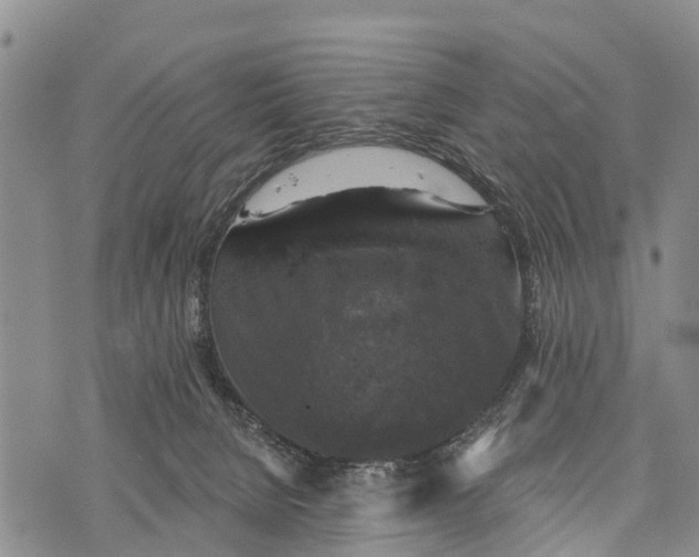 X0000073890080200609011704