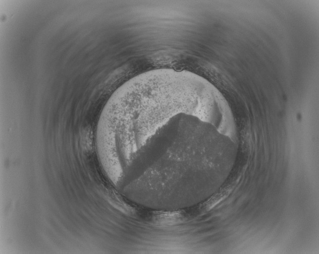 X0000073890081200609011704