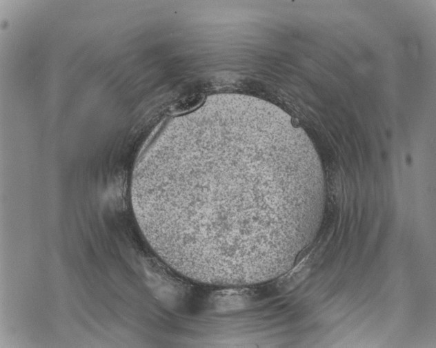 X0000073890082200609011704