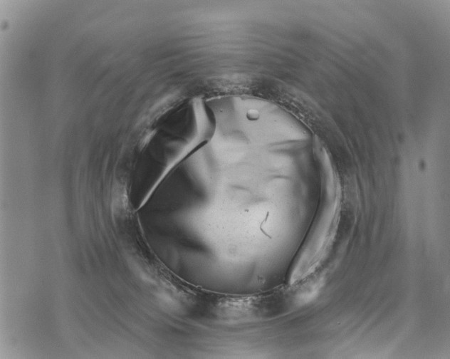 X0000073890084200609011704