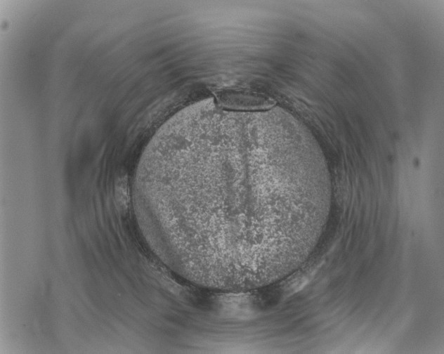 X0000073890085200609011704