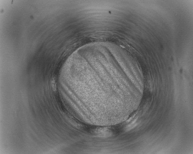 X0000073890086200609011704