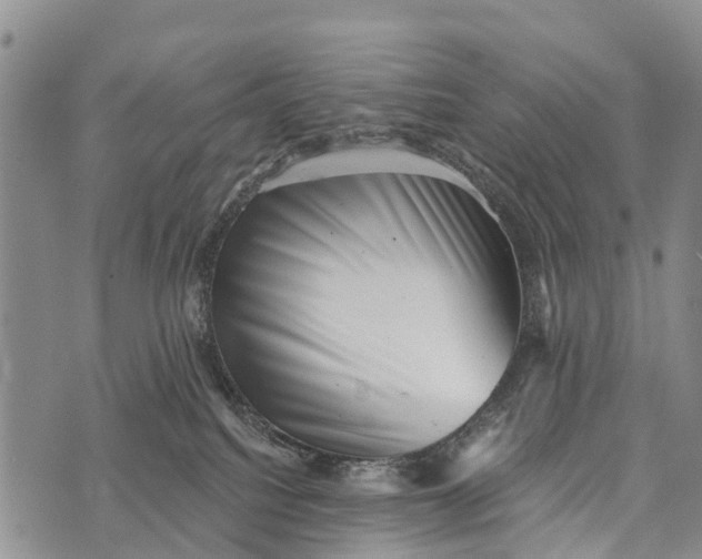 X0000073890088200609011704