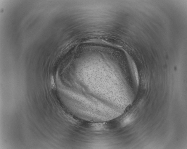 X0000073890089200609011704