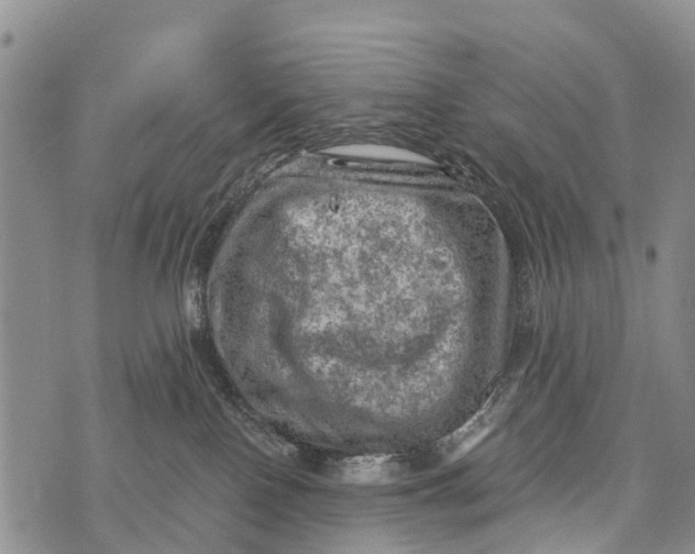 X0000073890090200609011704