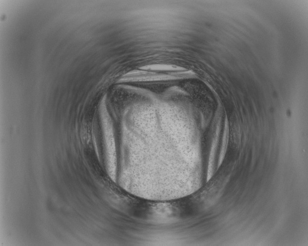 X0000073890091200609011704