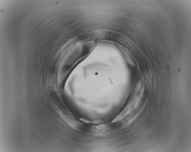 X0000073890092200609011704