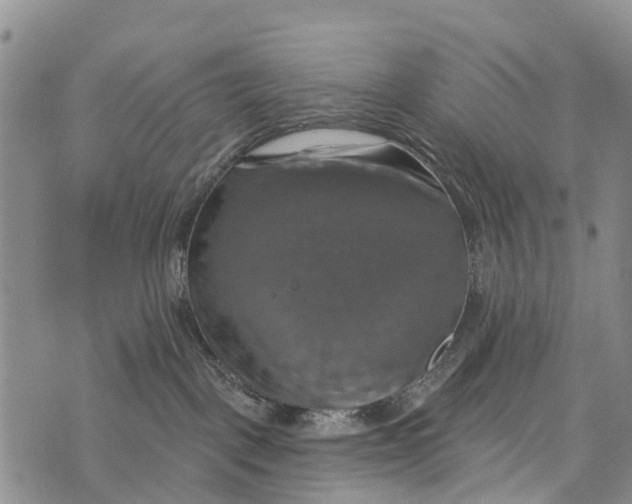 X0000073890093200609011704