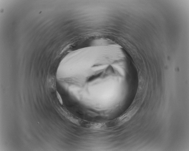 X0000073890096200609011704