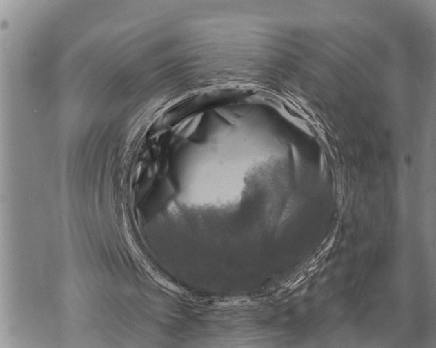 X0000073890097200609011703