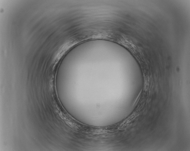 X0000073890098200609011703