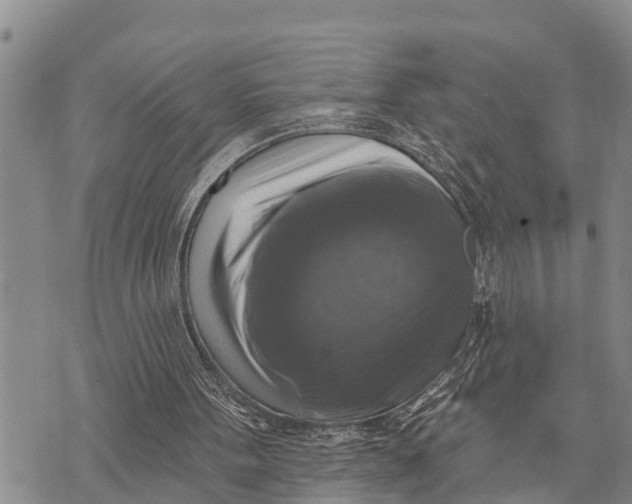 X0000073890099200609011703