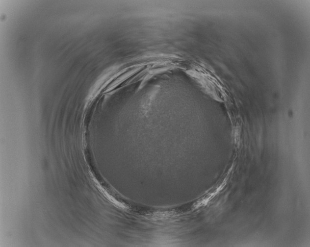 X0000073890101200609011703