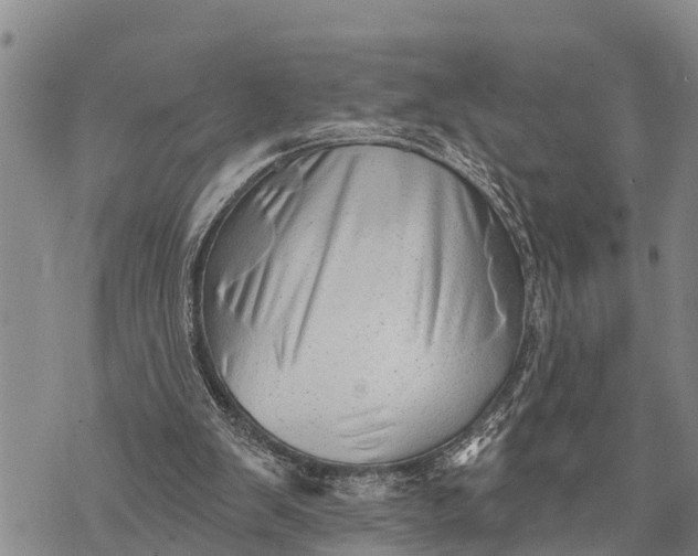 X0000073890103200609011703